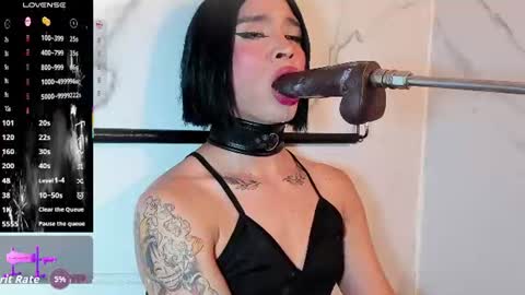    online show from 22, 7, 2026