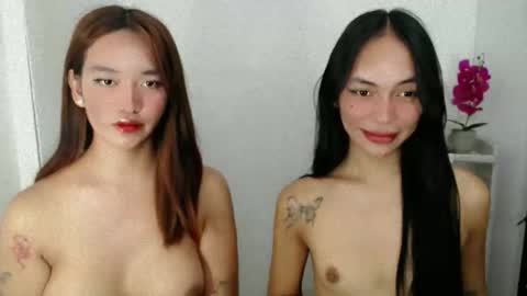 Sashi online show from 21, 3, 2026