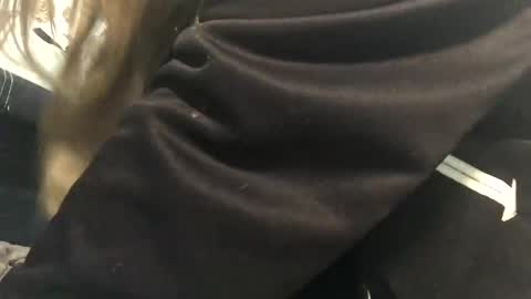 Princess online show from 7, 3, 2025