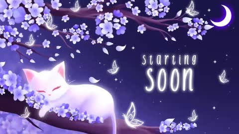 Snapshot of sassykittyn chatting on 3, 11, 2025 Sassy Sami Kittyn online show from 3, 11, 2025