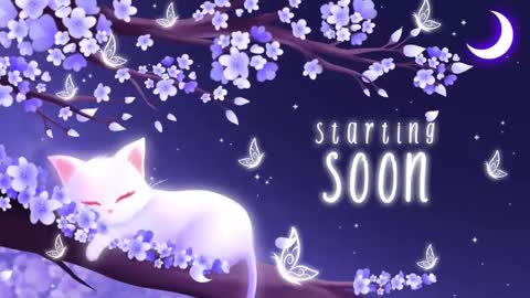 Snapshot of sassykittyn chatting on 4, 11, 2025 Sassy Sami Kittyn online show from 4, 11, 2025