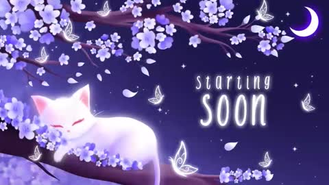 Snapshot of sassykittyn chatting on 2, 12, 2025 Sassy Sami Kittyn online show from 2, 12, 2025