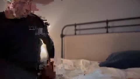 sbsdbfs online show from 18, 11, 2025