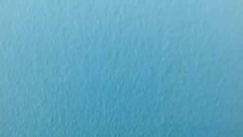 scarlet771776 online show from 29, 11, 2025