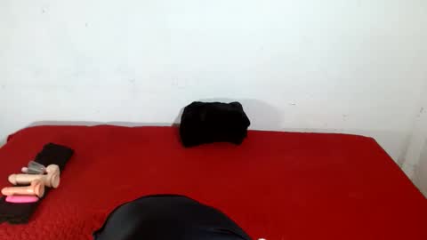 Snapshot of scarletfox__03 chatting on 11, 2, 2026 Scarletfox Fox online show from 11, 2, 2026