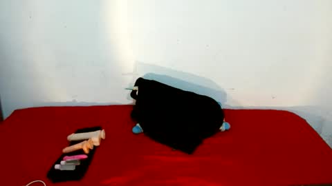 Snapshot of scarletfox__03 chatting on 23, 2, 2026 Scarletfox Fox online show from 23, 2, 2026