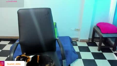 Scarlett online show from 19, 3, 2026