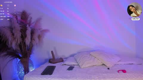 Snapshot of scarlett_keitt chatting on 10, 2, 2026 scarlet online show from 10, 2, 2026
