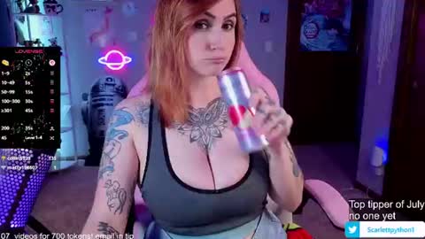 Snapshot of scarlettpython1 chatting on 3, 7, 2026 Scarlett online show from 3, 7, 2026
