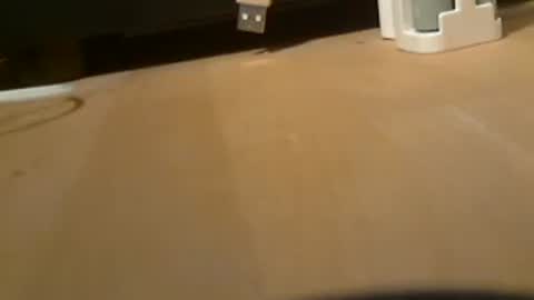 Snapshot of schwaermer1 chatting on 25, 6, 2026 schwaermer1 online show from 25, 6, 2026