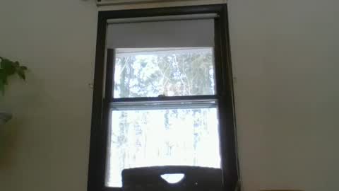 scottpbi52 online show from 19, 2, 2025