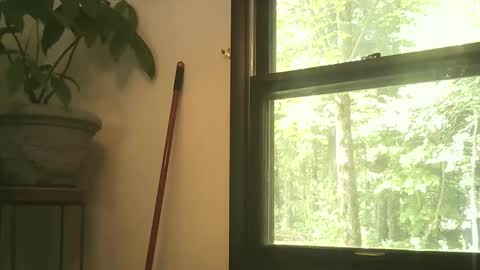 scottpbi52 online show from 27, 9, 2025