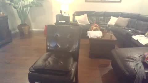 Scottsindeep online show from 1, 11, 2025