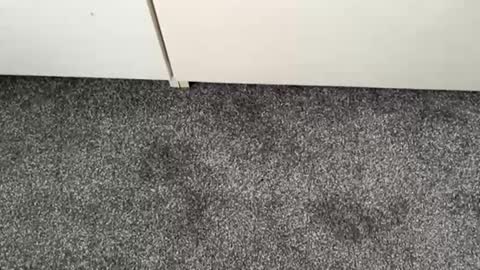 Snapshot of scottyc48 chatting on 13, 11, 2025 scottyc48 online show from 13, 11, 2025