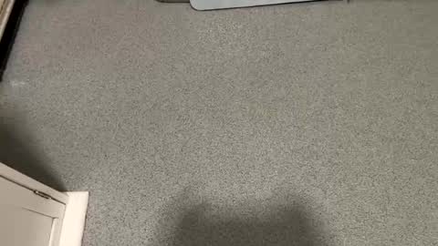 Snapshot of scottyc48 chatting on 23, 11, 2025 scottyc48 online show from 23, 11, 2025