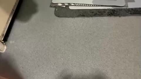 scottyc48 online show from 19, 12, 2025