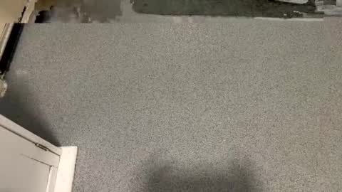 scottyc48 online show from 6, 1, 2026