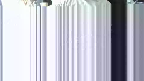 ScSnake online show from 6, 1, 2025