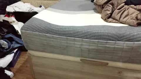 scubi007 online show from 2, 11, 2025