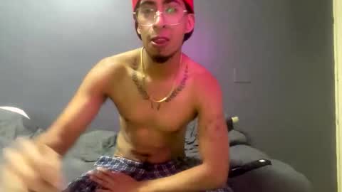 seahorseale online show from 16, 3, 2026