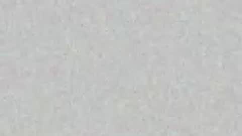 Snapshot of seaman91 chatting on 2, 5, 2026 Seaman online show from 2, 5, 2026