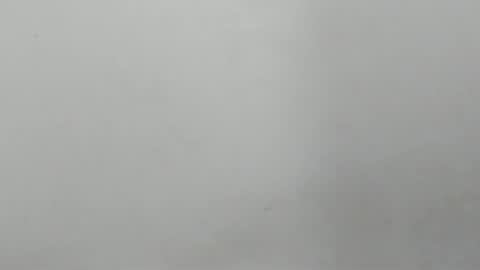 sebatian palacios online show from 2, 12, 2024