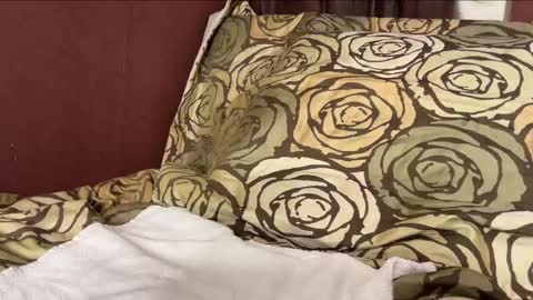 Hennriette    and Sebastian     online show from 29, 12, 2024