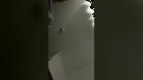 sedaliasens online show from 9, 3, 2026