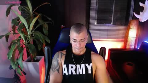 sed online show from 15, 12, 2024