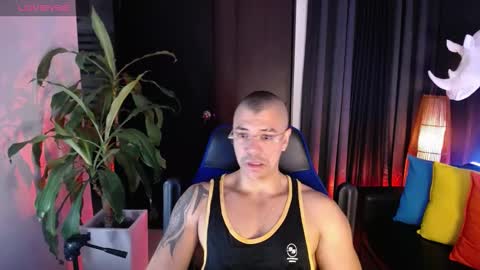 sed online show from 31, 12, 2024