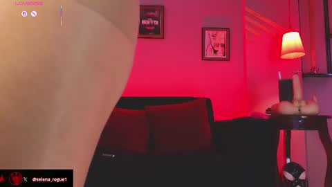 Snapshot of selena_rogue chatting on 9, 7, 2026 Sele online show from 9, 7, 2026