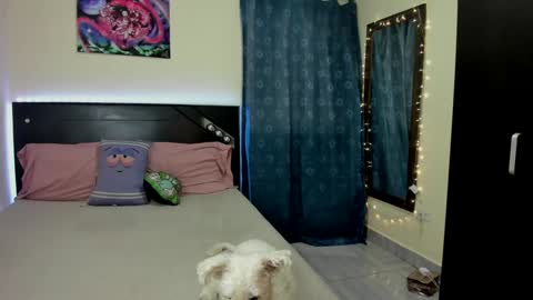 Sele online show from 17, 1, 2025