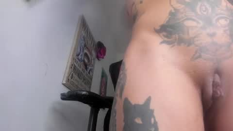  Selinna Kyle  online show from 6, 1, 2025