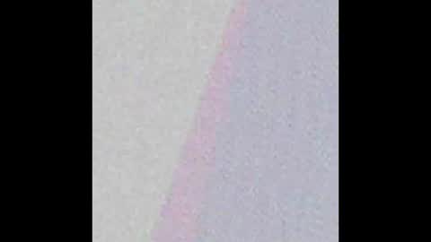 senpai online show from 29, 10, 2025