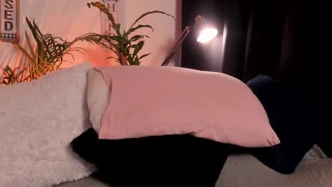 Snapshot of serenity_day chatting on 29, 1, 2025 Serenity online show from 29, 1, 2025