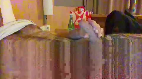 Snapshot of serialfucka69 chatting on 27, 10, 2025 serialfucka69 online show from 27, 10, 2025