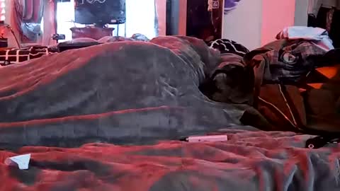 Sydney Mae online show from 29, 1, 2025