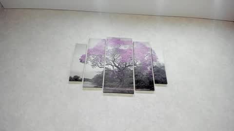 Xenia online show from 10, 1, 2025