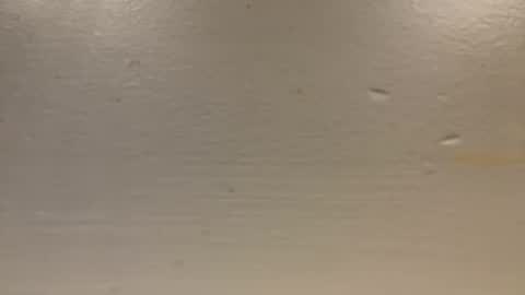 Snapshot of sexislitpuss69 chatting on 1, 1, 2025 sexislitpuss69 online show from 1, 1, 2025