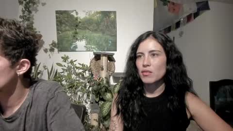         online show from 11, 5, 2026