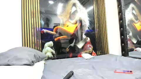 sexy78michell online show from 14, 2, 2026