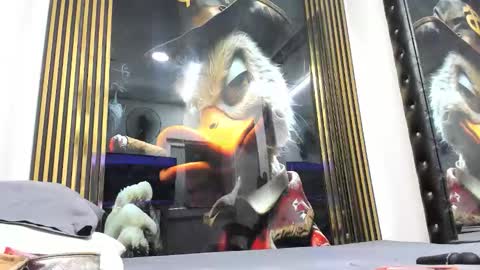 sexy78michell online show from 15, 2, 2026