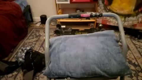 Cayden online show from 23, 1, 2025