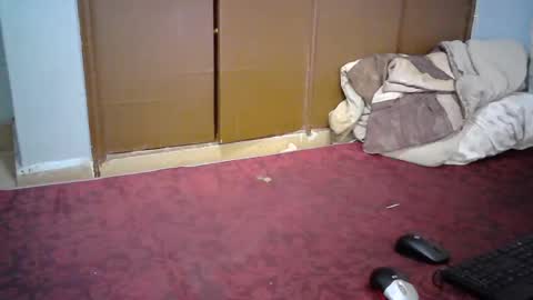 sexy_lunah online show from 19, 12, 2024