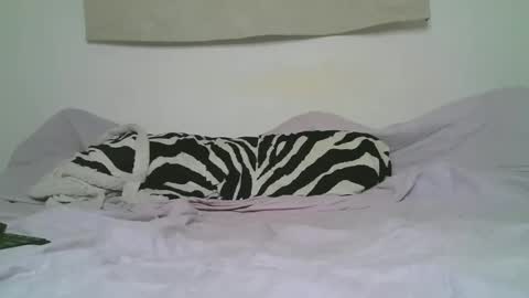 Snapshot of sexy_panthers3 chatting on 29, 11, 2025 Ithan Joel online show from 29, 11, 2025