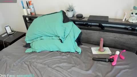 Snapshot of sexyariel15 chatting on 22, 10, 2025 SexyAriel15 online show from 22, 10, 2025