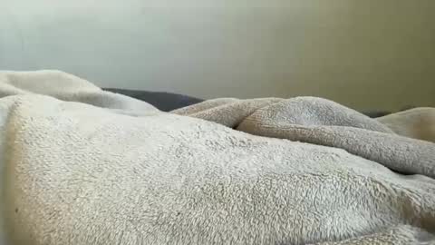 ALAYA  online show from 29, 11, 2025