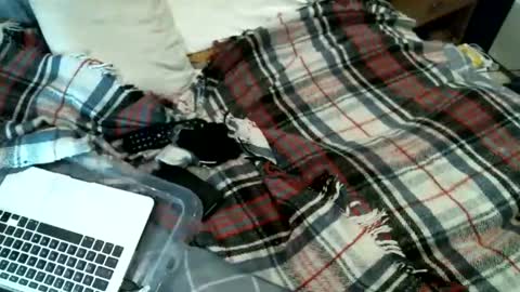 sexybiman74 online show from 31, 1, 2026