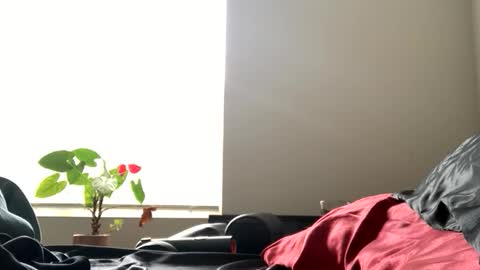 sexyhornyman1993 online show from 2, 6, 2026