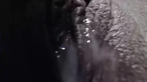 sexyjustin202 online show from 26, 2, 2025